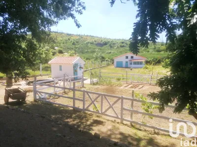 Fotografia 4 de Terreno rústico de 5300 m² em Oliveira do Hospital