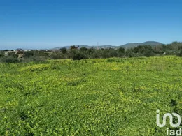 Land  in Conceição e Estoi
