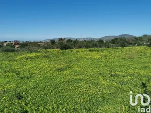 Land  in Conceição e Estoi