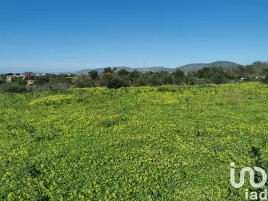 Terreno  em Conceição e Estoi