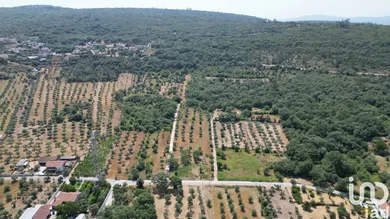Terreno urbano  em Chão de Couce