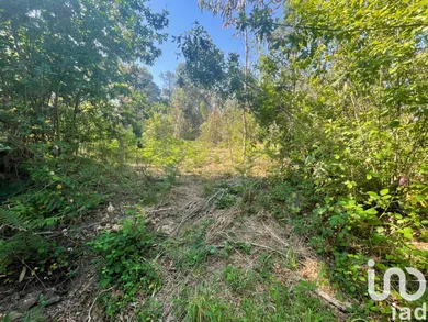 Terreno em Vila de Punhe