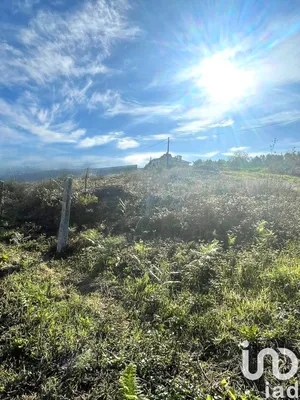 Terreno  em Subportela, Deocriste e Portela Susã