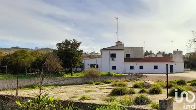 Ferme à Caia, São Pedro e Alcáçova