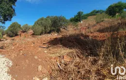 Land in São Bartolomeu de Messines