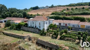 Farm at Santo Quintino