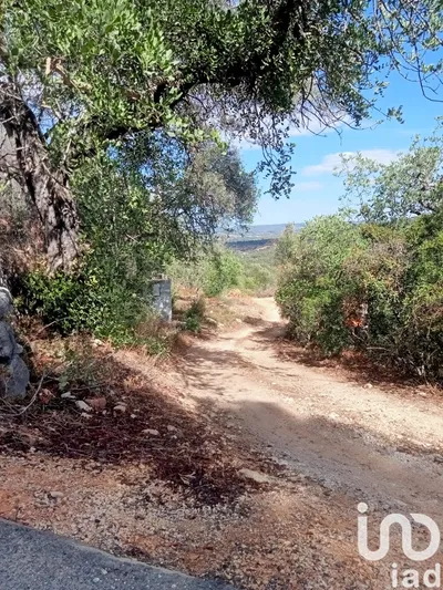 Fotografia 1 de Terreno de 10 480 m² em Loulé (São Sebastião)