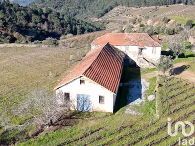 Ferme  à Alijó