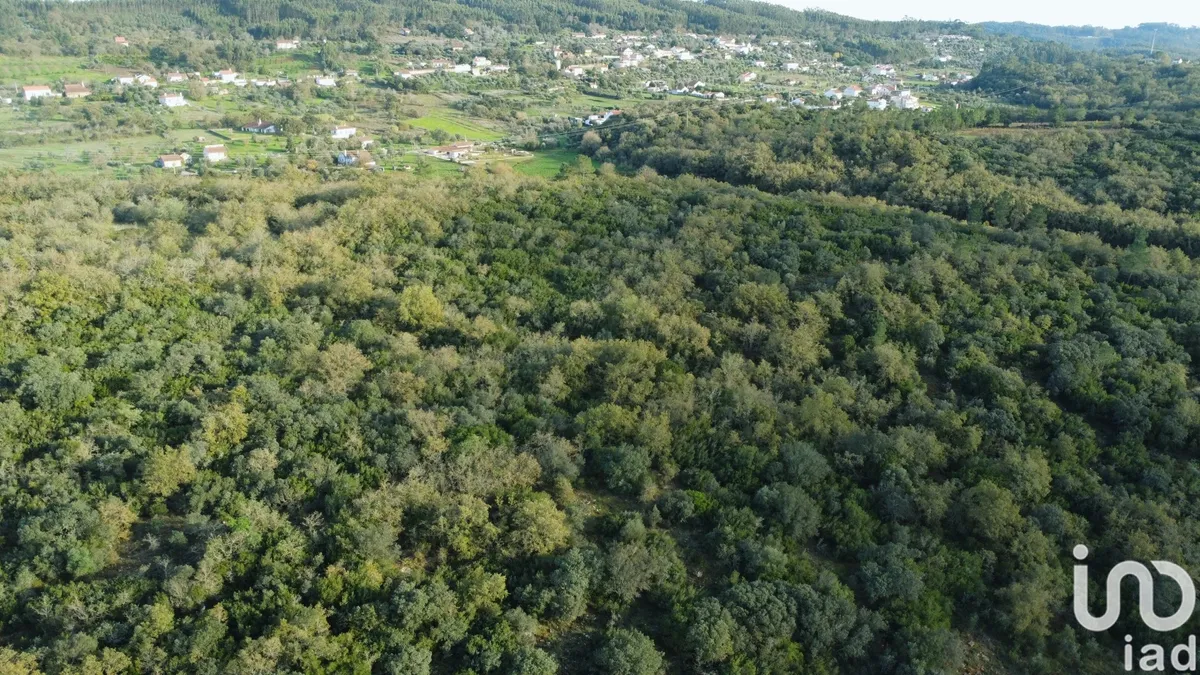 Terreno de 3400 m² em Areias e Pias