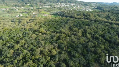 Land at Areias e Pias