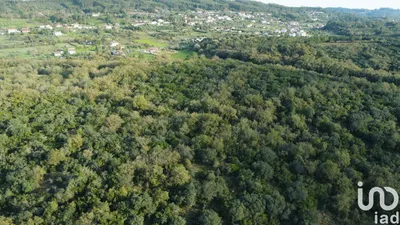 Fotografia 1 de Terreno de 3400 m² em Areias e Pias