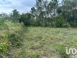 Terreno urbano em Monte Real e Carvide