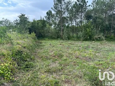 Terreno urbano  em Monte Real e Carvide