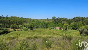 Quinta  em São Teotónio