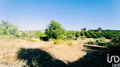 Terrain  à Castro Marim