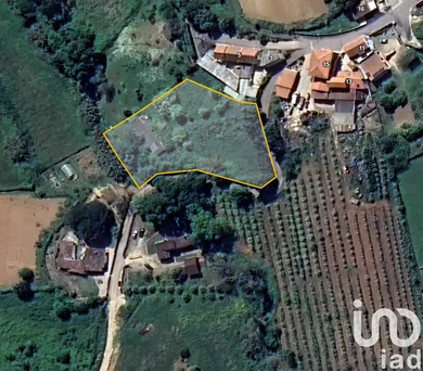 Land at Lamas e Cercal