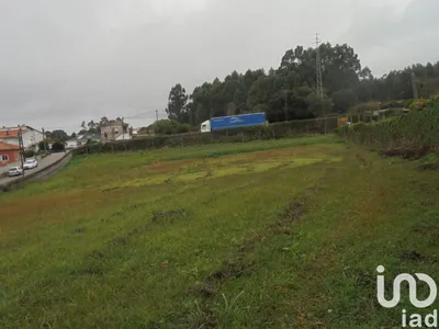 Fotografia 8 de Terreno de 4200 m² em Anta
