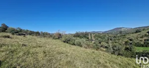 Land at Venda do Pinheiro e Santo Estêvão das Galés