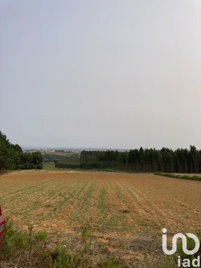 Fotografia 3 de Terreno rústico de 3360 m² em Moita dos Ferreiros