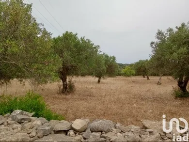 Terreno  em Conceição e Estoi