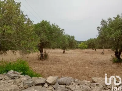 Fotografia 3 de Terreno de 2410 m² em Conceição e Estoi