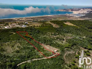 Quinta em Famalicão