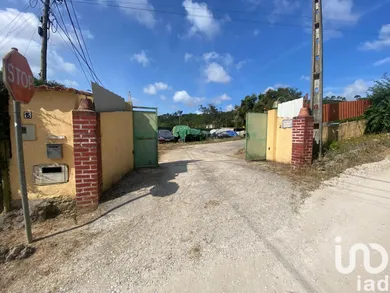 Maison  à Santa Maria, São Pedro e Sobral da Lagoa