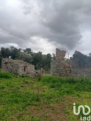 Land  at Aljubarrota