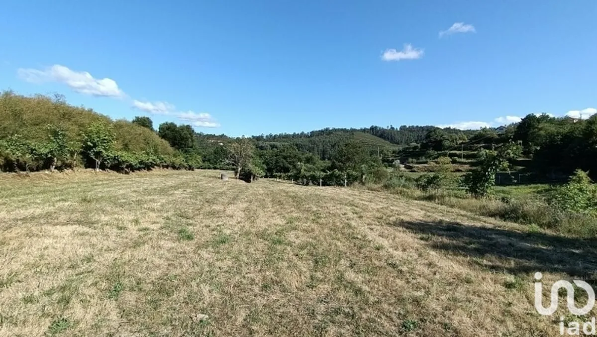 Terreno rústico de 6500 m² em Sabadim