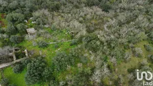 Village house  at Chãos