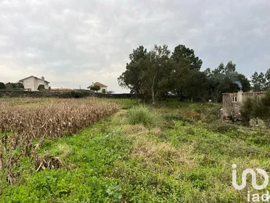 Terreno  em Antas