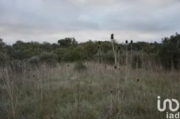 Terreno em Areias e Pias