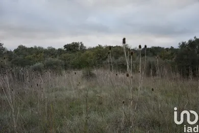Terreno  em Areias e Pias