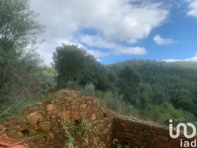 Building plot  at Pedrógão Grande