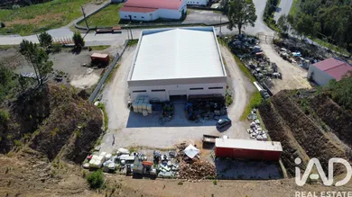 Loja / Estabelecimento Comercial em Alvares