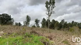 Terrain à batir à Tamel (São Veríssimo)