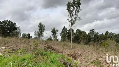 Terrain à batir  à Tamel (São Veríssimo)