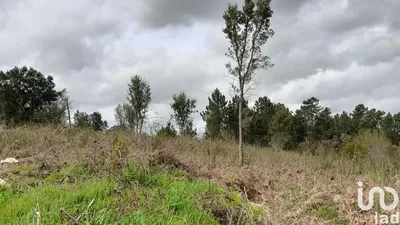 Fotografia 2 de Terreno urbano de 18 281 m² em Tamel (São Veríssimo)