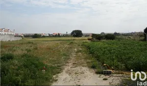 Terreno  em Alcochete