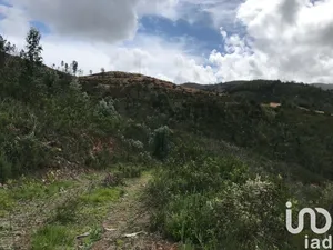 Terreno  em Monchique
