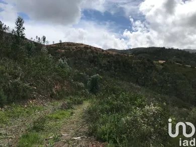 Terrain  à Monchique