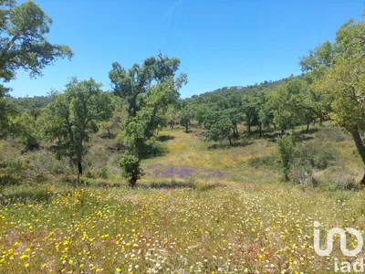 Fotografia 1 de Terreno de 248 300 m² em Melides