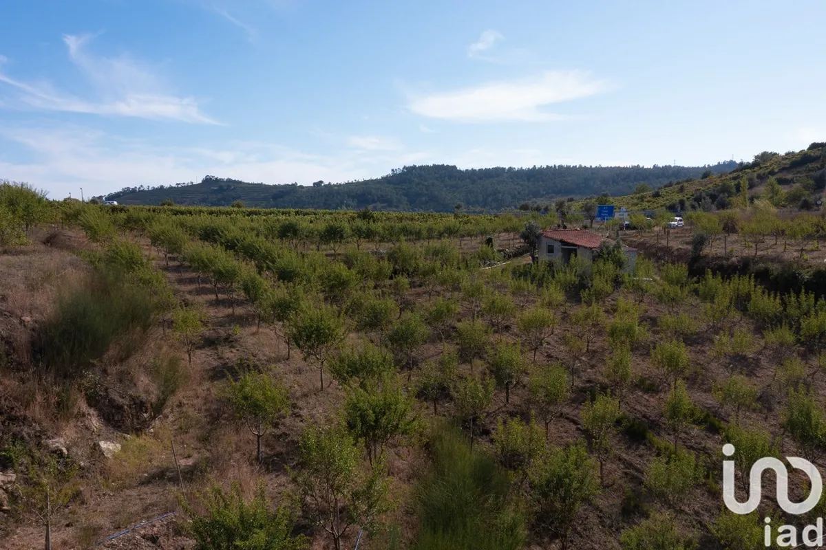 Terreno de 11 841 m² em Lamas