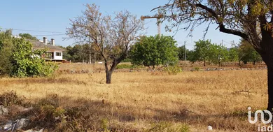 Terreno  em Boliqueime