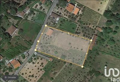 Fotografia 3 de Terreno de 6000 m² em Pedrógão Pequeno