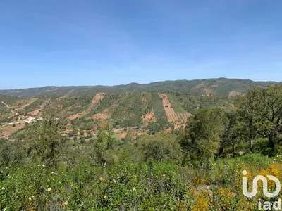 Fotografia 3 de Terreno de 9960 m² em Querença, Tôr e Benafim