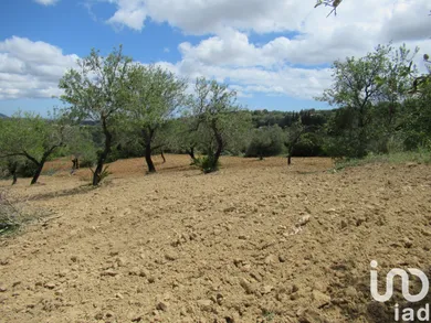 Farm land  in Boliqueime