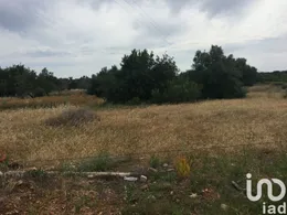 Terreno  em Loulé (São Sebastião)