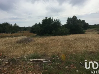 Land  in Loulé (São Sebastião)