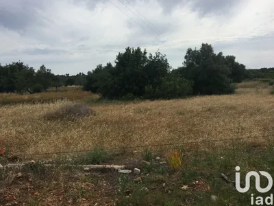 Fotografia 2 de Terreno de 9900 m² em Loulé (São Sebastião)